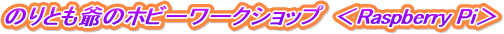 �̂�Ƃ���̃z�r�[���[�N�V���b�v�@��Raspberry Pi��